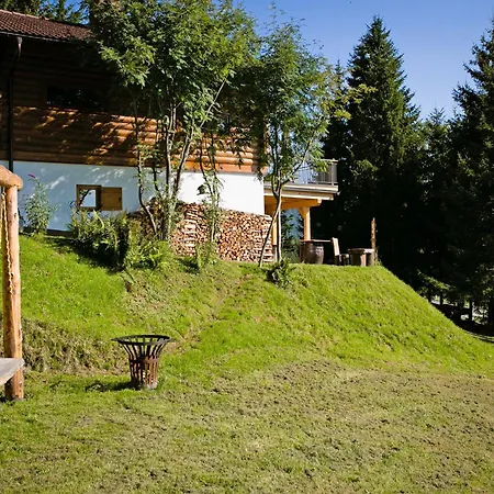 Vakantiehuis Almliesl Stef-633